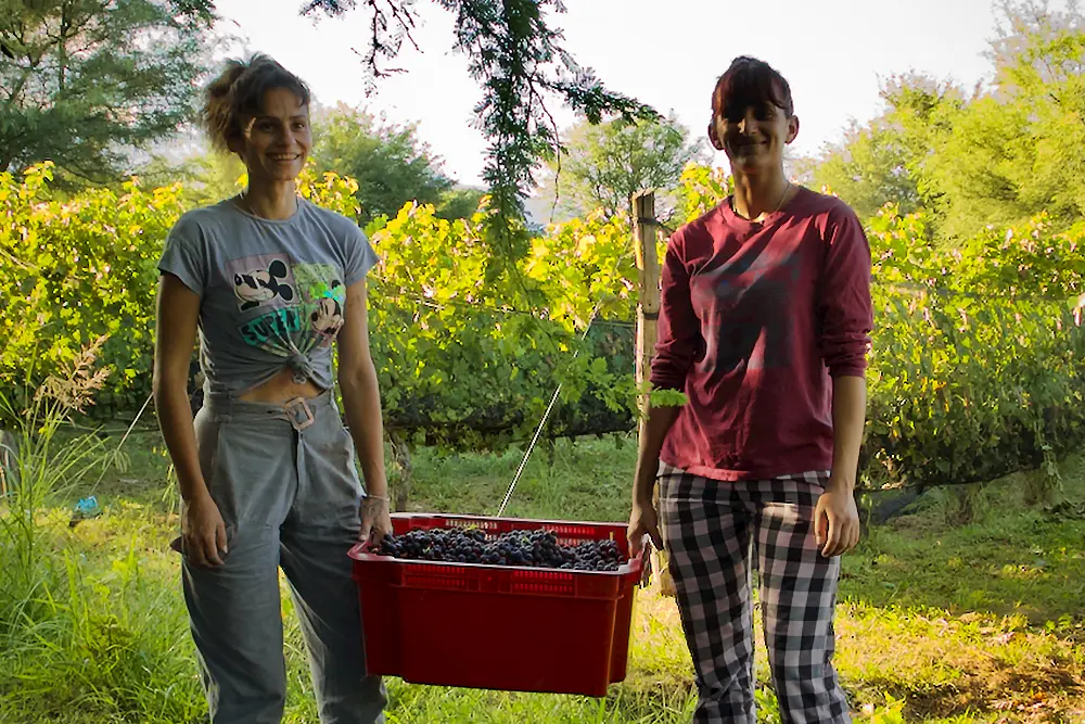 Bodega en San Javier Traslasierra