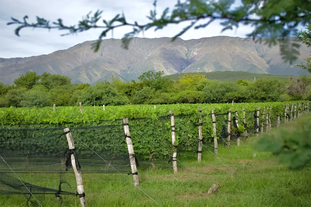 Valle de Traslasierras Córdoba
